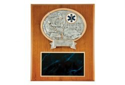 Paramedic Plaque